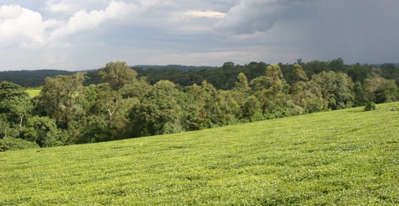 Oeganda Landeninformatie