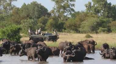 Onontdekt Limpopo Onontdekt Limpopo