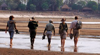 Walking Safari Zambia Walking Safari Zambia