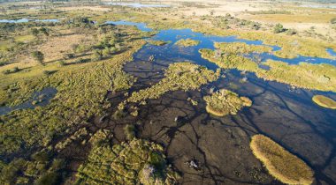 Botswana Explorer Luxe Mobile Safari Botswana Explorer Luxe Mobile Safari