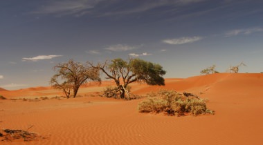 Rondreis Namibië