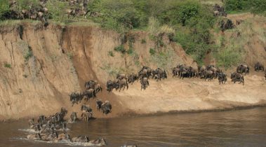 Kenia - 8 daagse privé safari rondreis Kenia - 8 daagse privé safari rondreis