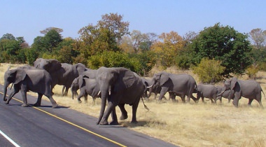 Groepsreis Zuidelijk Afrika - kampeerreis Groepsreis Zuidelijk Afrika - kampeerreis
