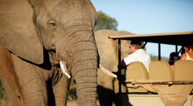Zuid-Afrika; Safari Karoo en olifanten van Addo Zuid-Afrika; Safari Karoo en olifanten van Addo