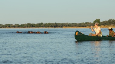 Diverse Avontuurlijke kanosafari's Mana Pools