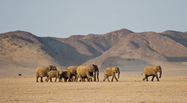 Rondreis veelzijdig Namibië Rondreis veelzijdig Namibië