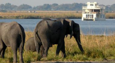 Luxe reis Namibië, Botswana, Victoria Falls. Combi self drive & fly-in safari Luxe reis Namibië, Botswana, Victoria Falls. Combi self drive & fly-in safari