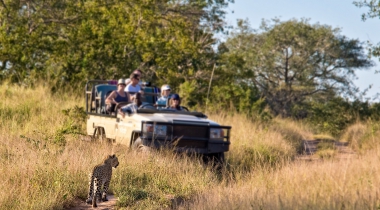 Limpopo op z'n best Limpopo op z'n best