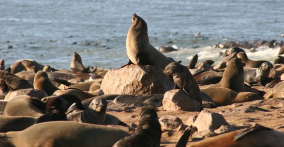 National West Coast Recreation Area