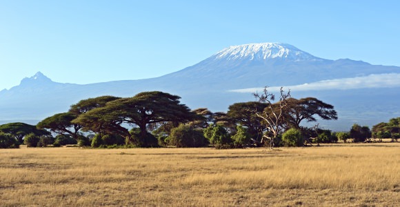 Amboseli National Park
