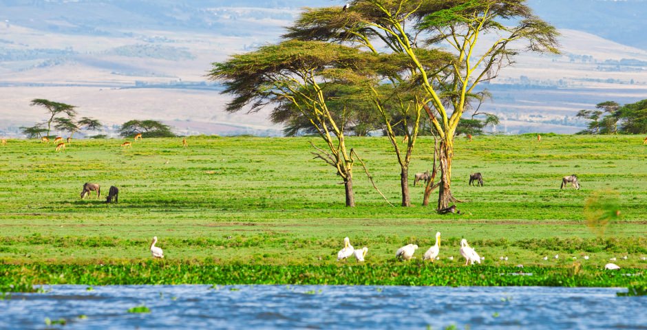 Lake Naivasha Lake Naivasha