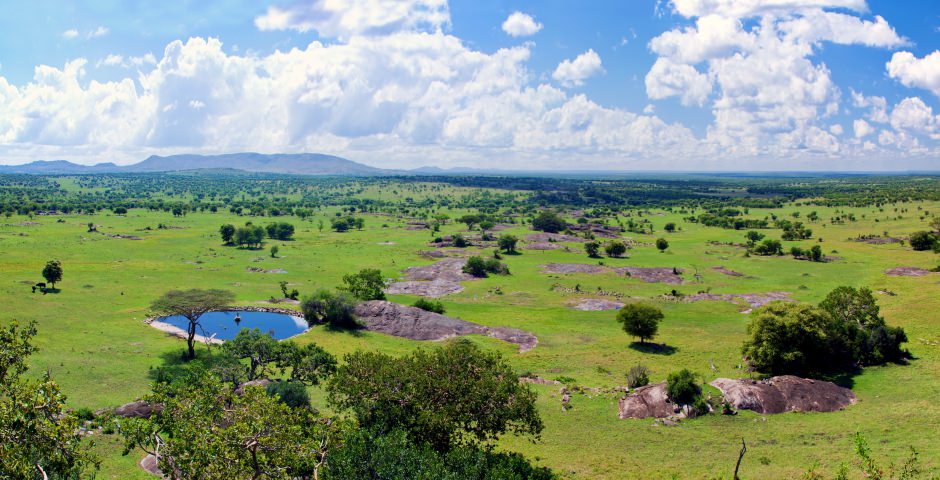 De vlaktes van Serengeti Nationaal Park zijn onovertroffen De vlaktes van Serengeti Nationaal Park zijn onovertroffen