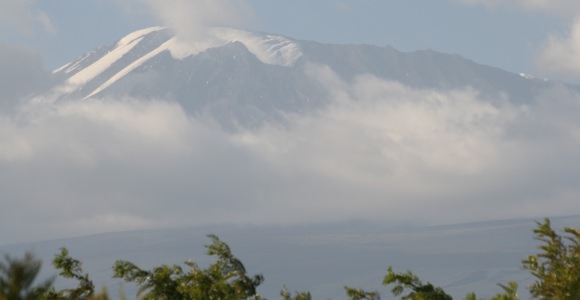 Meerdere klimaten binnen het Kilimanjaro Nationaal Park Meerdere klimaten binnen het Kilimanjaro Nationaal Park