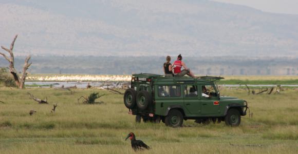 Lake Manyara, tegen de rand van het Riftvallei